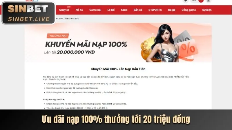 Ưu Đãi Hoàn Trả Cao Hơn